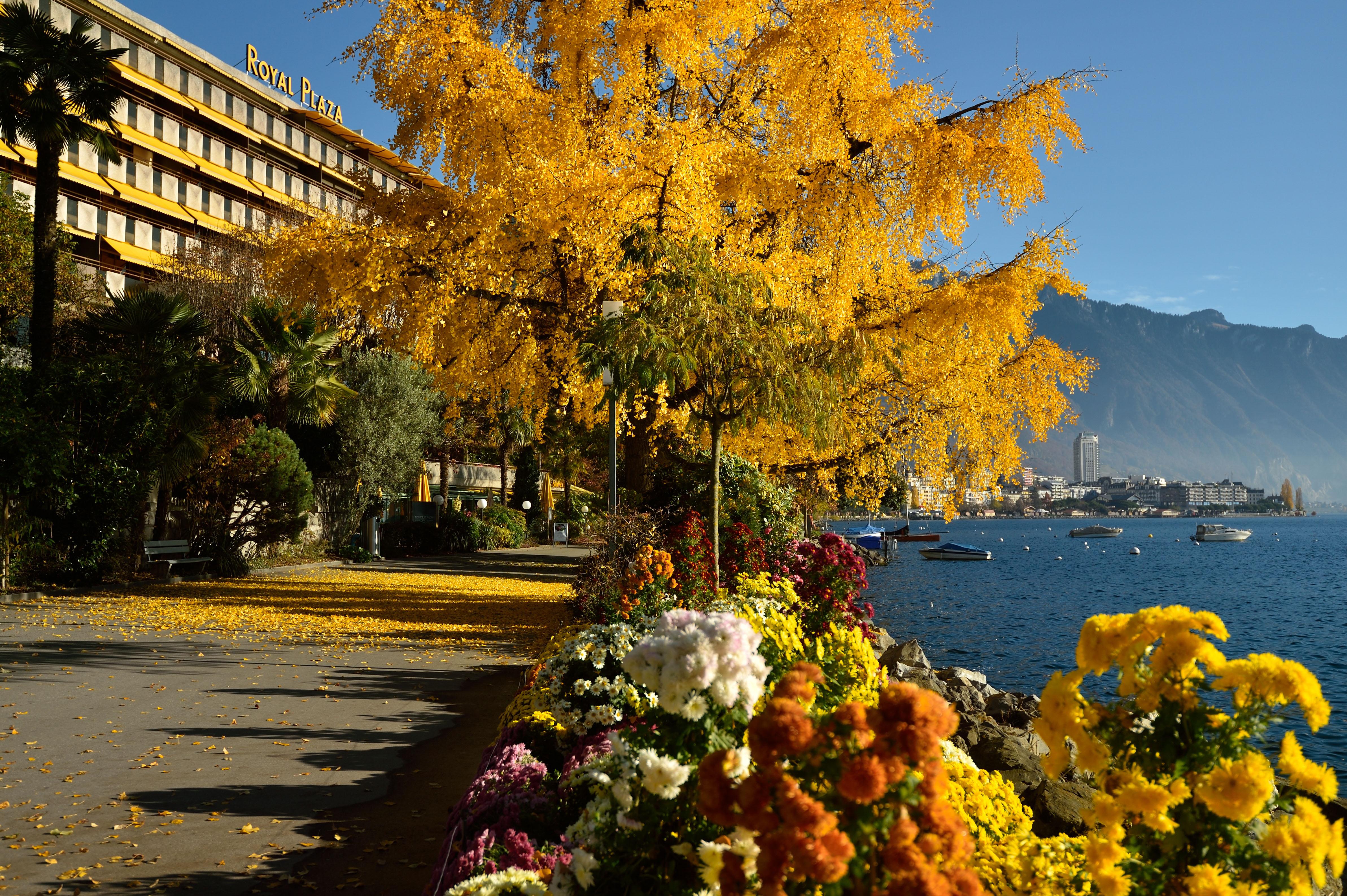 Royal Plaza Hotel Montreux